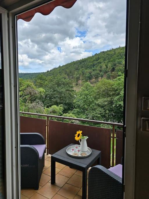 Grosse Ferienwohnung Am Waldrand Schonau  Exterior foto